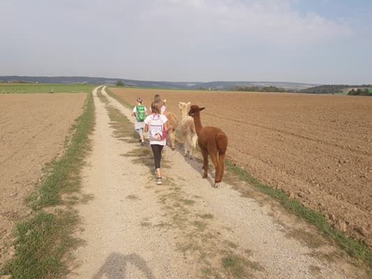 Wanderung über den Feldweg