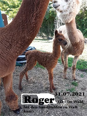 Roger – geboren im Wald bei den Sandsteinhöhlen