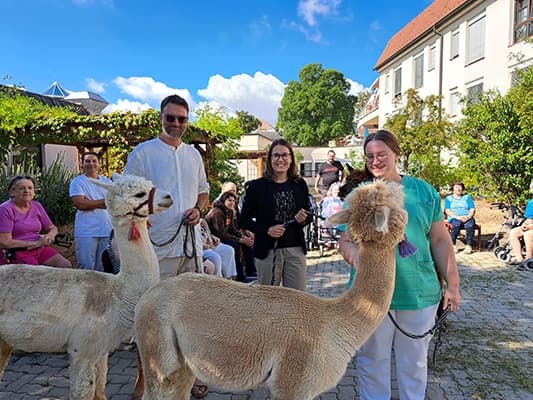 Gruppe mit Alpakas beim Besuch
